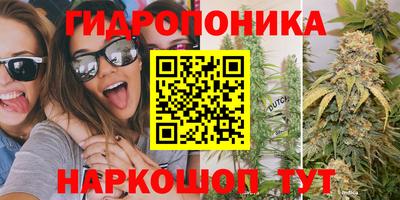 ПСИЛОЦИБИНОВЫЕ ГРИБЫ Кингисепп