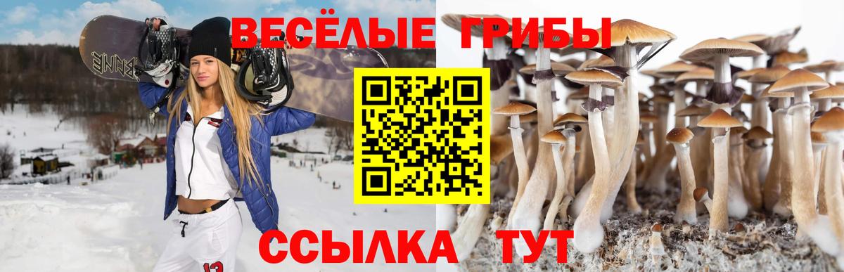 Крымск  Псилоцибиновые грибы Cubensis  Вход с VPN  Псилоцибиновые грибы Psilocybine cubensis 